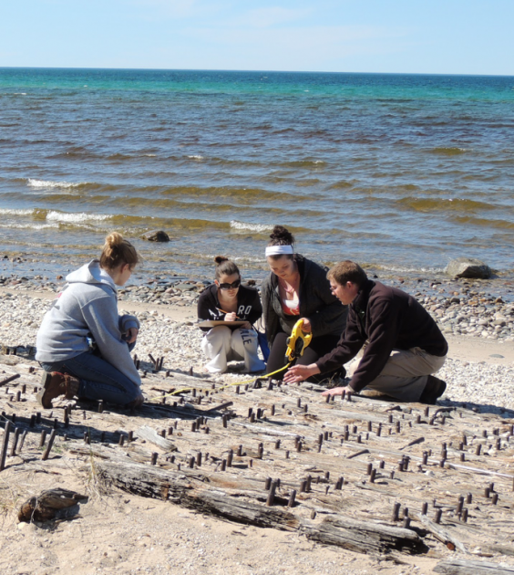 NEMIGLSI students on the shore.